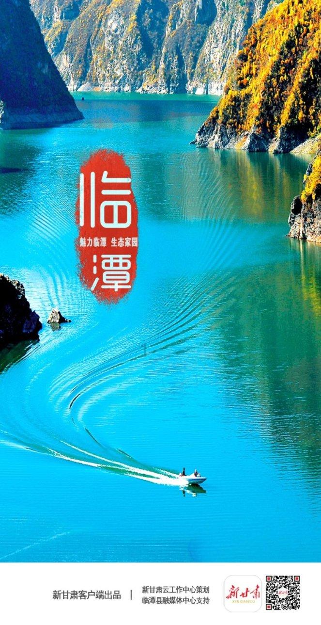 小猫钓鱼正版下载中文版