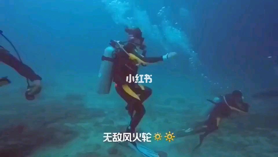月光影视