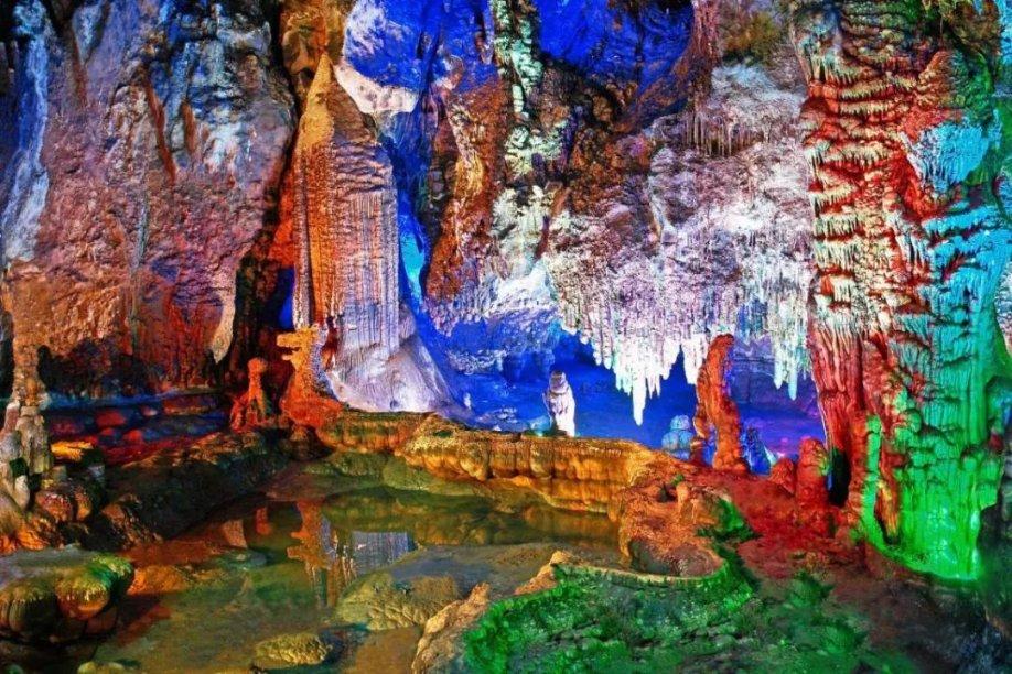 虫虫助手下载